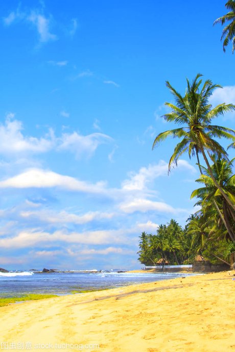 美丽的景色斯里兰卡海滩上 阳光灿烂的日子