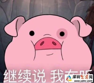 不听不听王八念经什么梗表情包 不听不听王八念