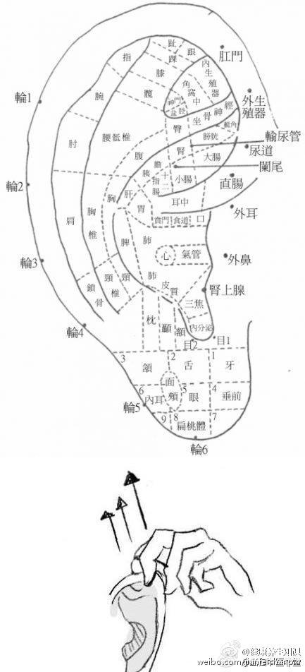 [生活]健康养生知识:【每天拉耳廓】对耳廓,耳根部都有较强的刺