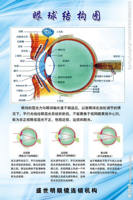 相关搜索 眼睛的切面细胞图 视网膜结构示意图 人眼球结构示意图 线
