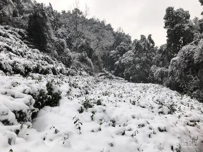 九溪十八涧