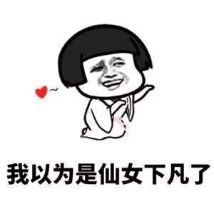 我以为是仙女下凡了表情包