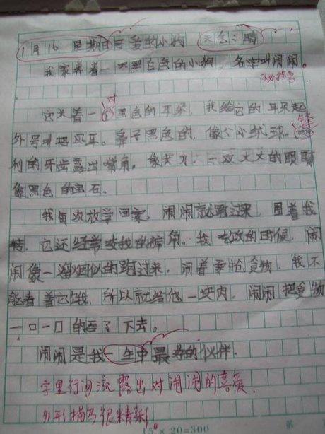 我想养一只 小狗作文100字