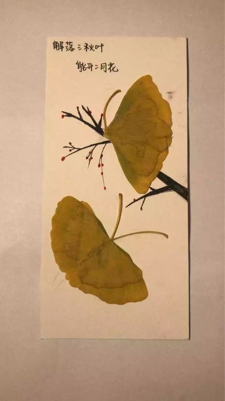 树叶书签