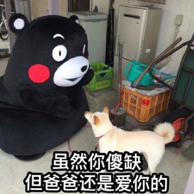 表情包 搞笑 熊本熊  冷漠