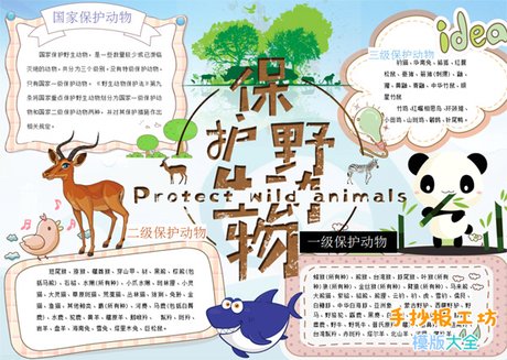 保护野生动物手抄报 保护动物 保护动物文字 保护动物和谐自然 保护