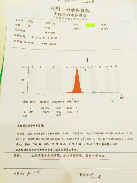 血红蛋白电泳