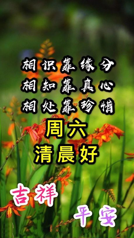 八月 早上好图片问候语 八月 早上好祝福阳光句 相关搜索 qq早上好