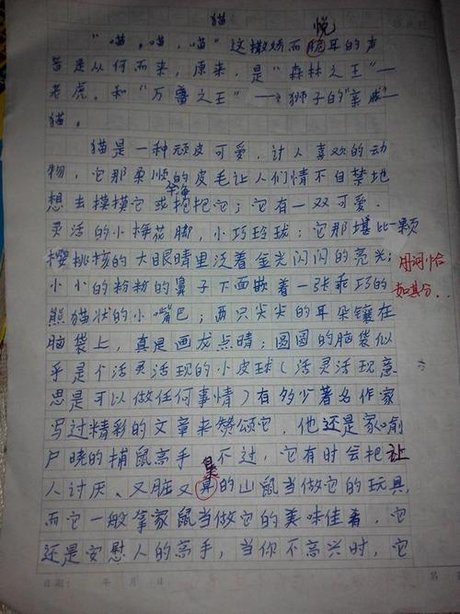 观察 动物的 作文400字小狗的作文