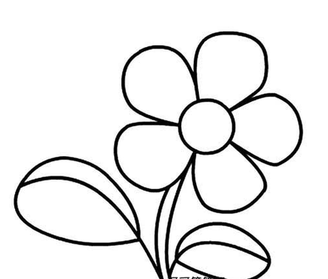 相关搜索 简单花朵图片简笔画 小花朵图片简笔画 装饰花朵图片虮笔画
