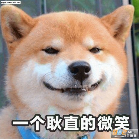 丑拒柴犬表情包带字图片|一个耿直的微笑柴犬表情包下载-乐游网游戏