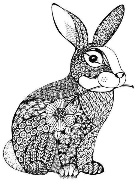 点线面动物绘画作品 线描动物图片 猫头鹰线描装饰画 黑白动物创意
