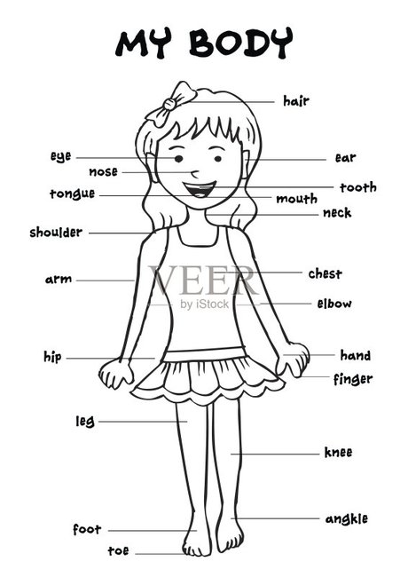 我的身体",教育信息图表为孩子们显示一个可爱的卡通女孩的人体的一