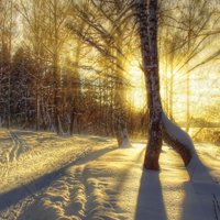 冬天雪景可爱头像_唯美清新的 冬天雪景_可爱