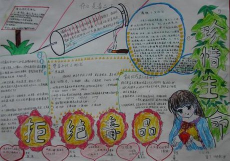 手抄报_360图片