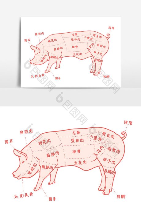 猪食用 部位图猪肉结构图ai