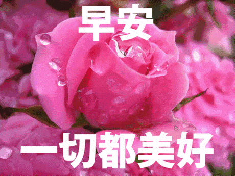 gif 早安心语问候动态图片 早上好祝福语表情包 gif动图模板早安你好