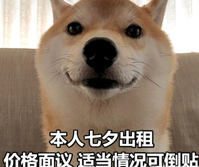 七夕柴犬单身狗表情包大全