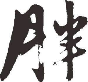 相关搜索 中 国的蜥蜴大全 国 字 太 小礼 服 中字 大 中国味道创意