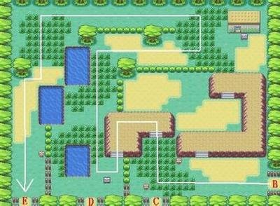 口袋怪兽 叶绿 360图片