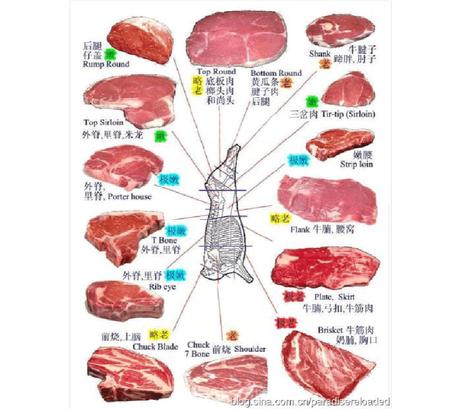 牛肉部位图解 360图片