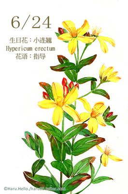 70以上1月18日诞生花 すべての写真のコレクションはこちら 70以上1月18日诞生花 すべての写真のコレクションはこちら