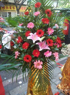 花语花屋 360图片