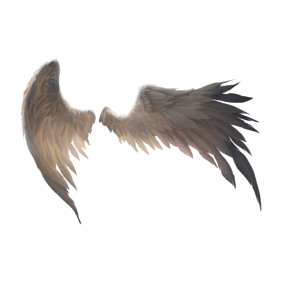 黑色羽翼 360图片