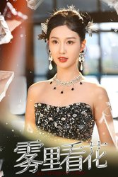 雾里看花