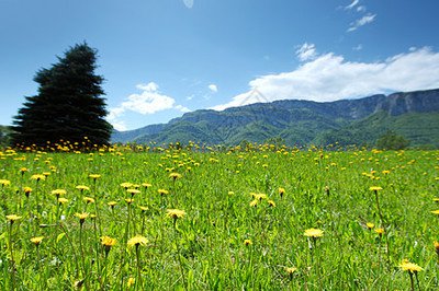 佛法告诉你怎么转苦为乐