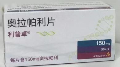 奥拉帕利
