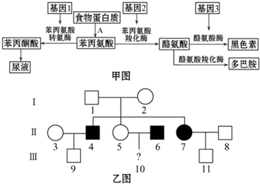 体内能转化成黑色素的氨基酸是