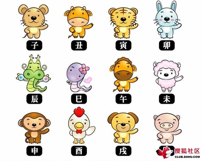 十二生肖今日财运