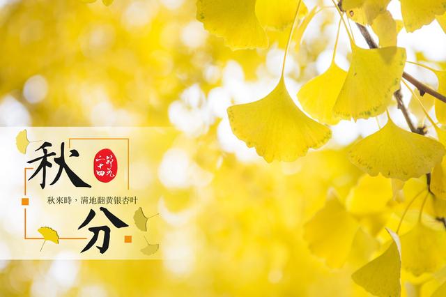 秋季是哪几个月份