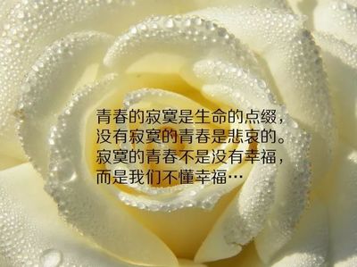 怀念朋友的句子怎么写