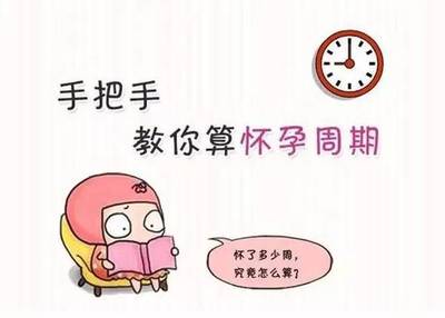 怀孕怎么算周期