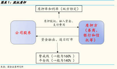 机构股东是什么意思