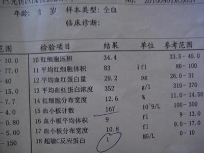 10个月宝宝体温多少正常