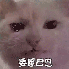 签证顺利表情包