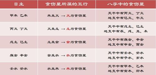 怎么查询自己是什么命