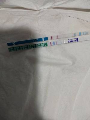 刚怀孕流血