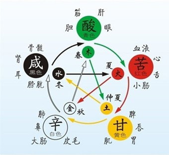 人五行