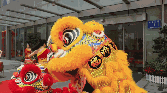 福州鲜花地毯厂家在哪里