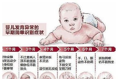 怀孕五个月宝宝发育标准