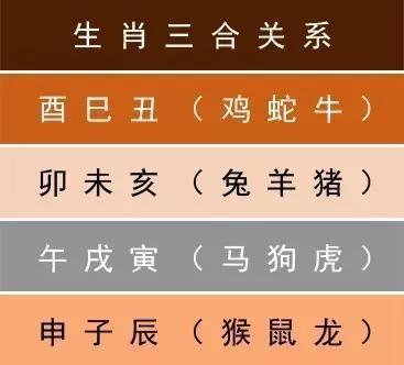 5楼五行属什么