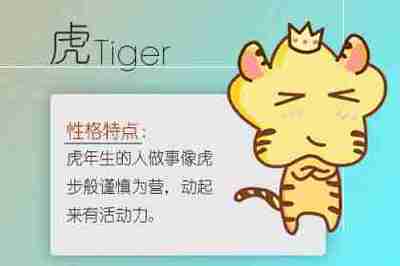 属牛与属虎合不合