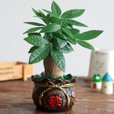发财寓意的名字