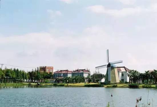 上海横沙岛