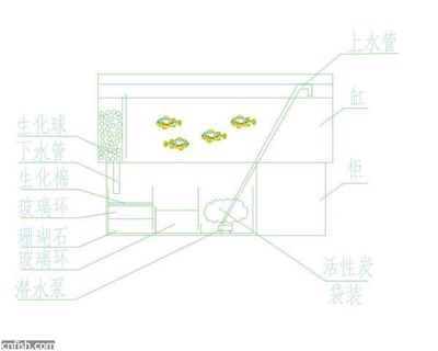 附近有沒有賣觀賞魚的魚店白水縣（附近賣觀賞魚的水族館）