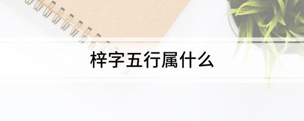梓字五行属什么的